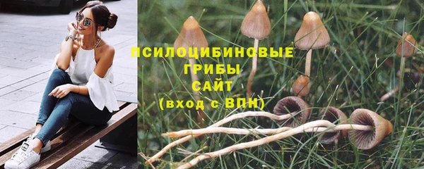 прущий лед Надым
